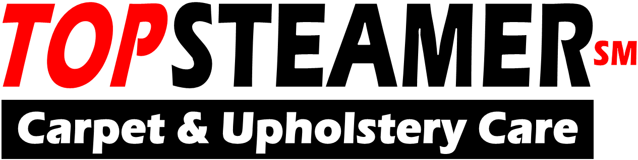 Top Steamer Miami Local Carpet Cleaner